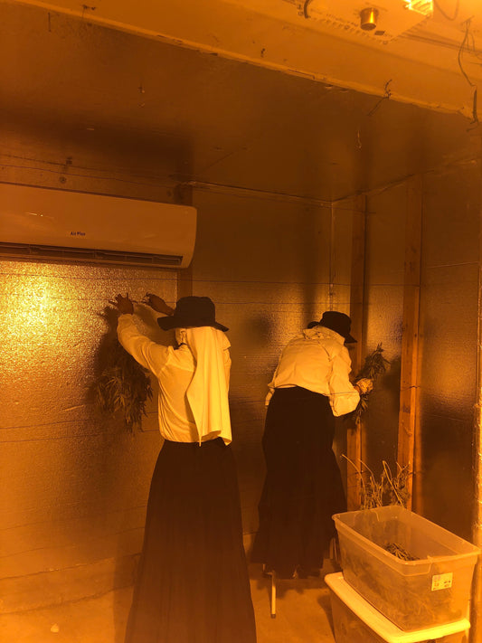 Programa de Voluntariado Guardianes del Valle de Sisters of the Valley