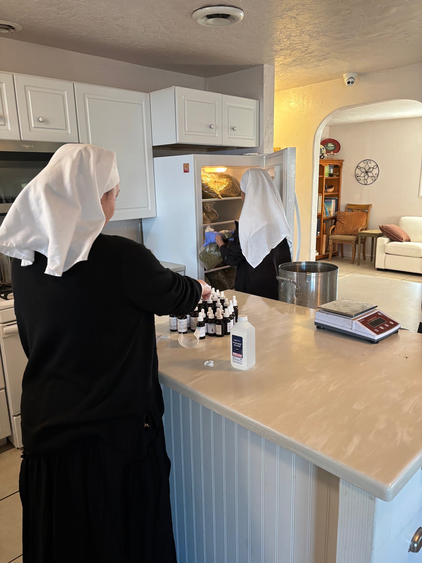 CURSO DE EXTRACCIONES CASERAS DE LA HERMANA CAMILLA