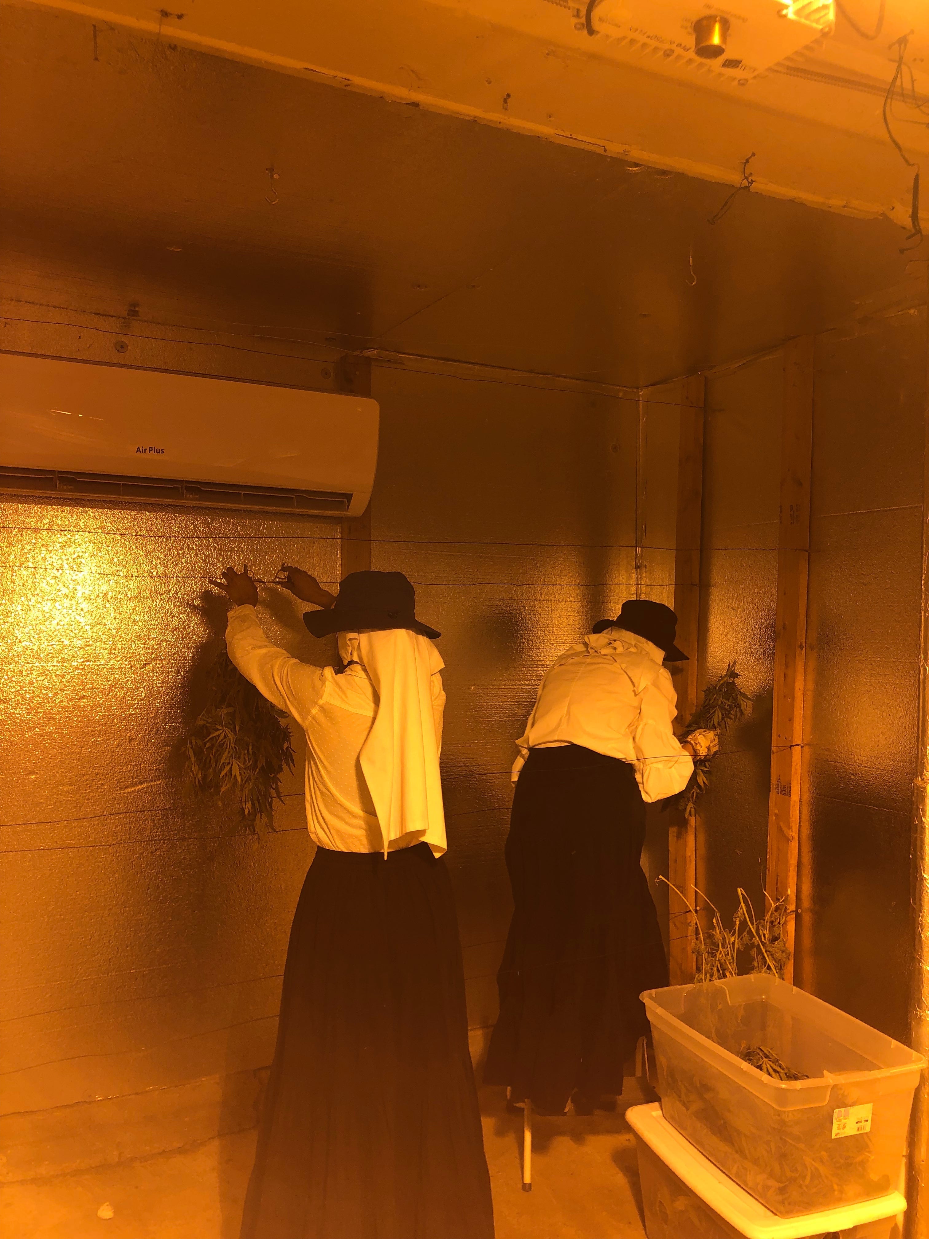 Programa de Voluntariado Guardianes del Valle de Sisters of the Valley